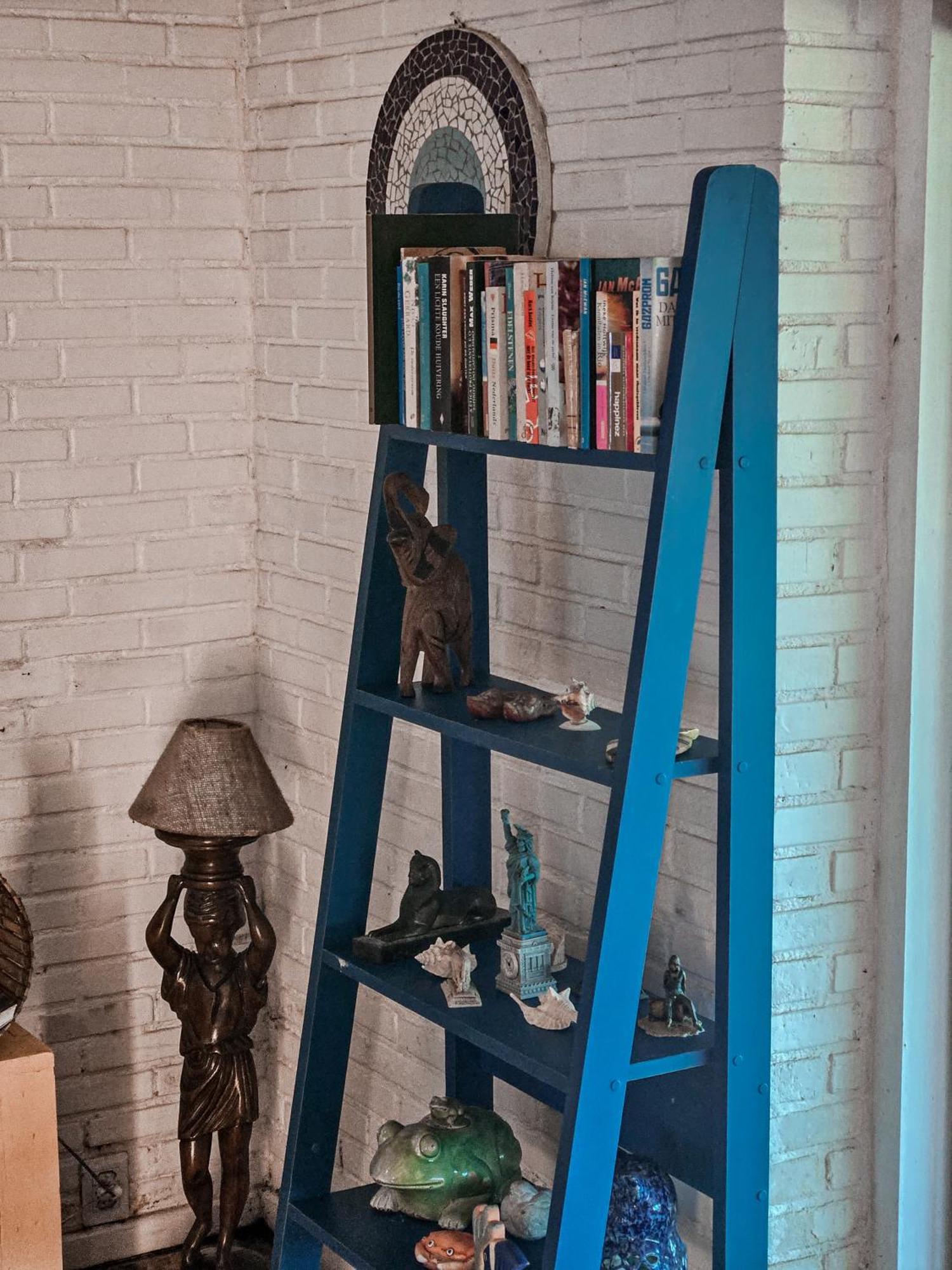 فندق Bella Vista Ocean View Búzios المظهر الخارجي الصورة A blue ladder shelf