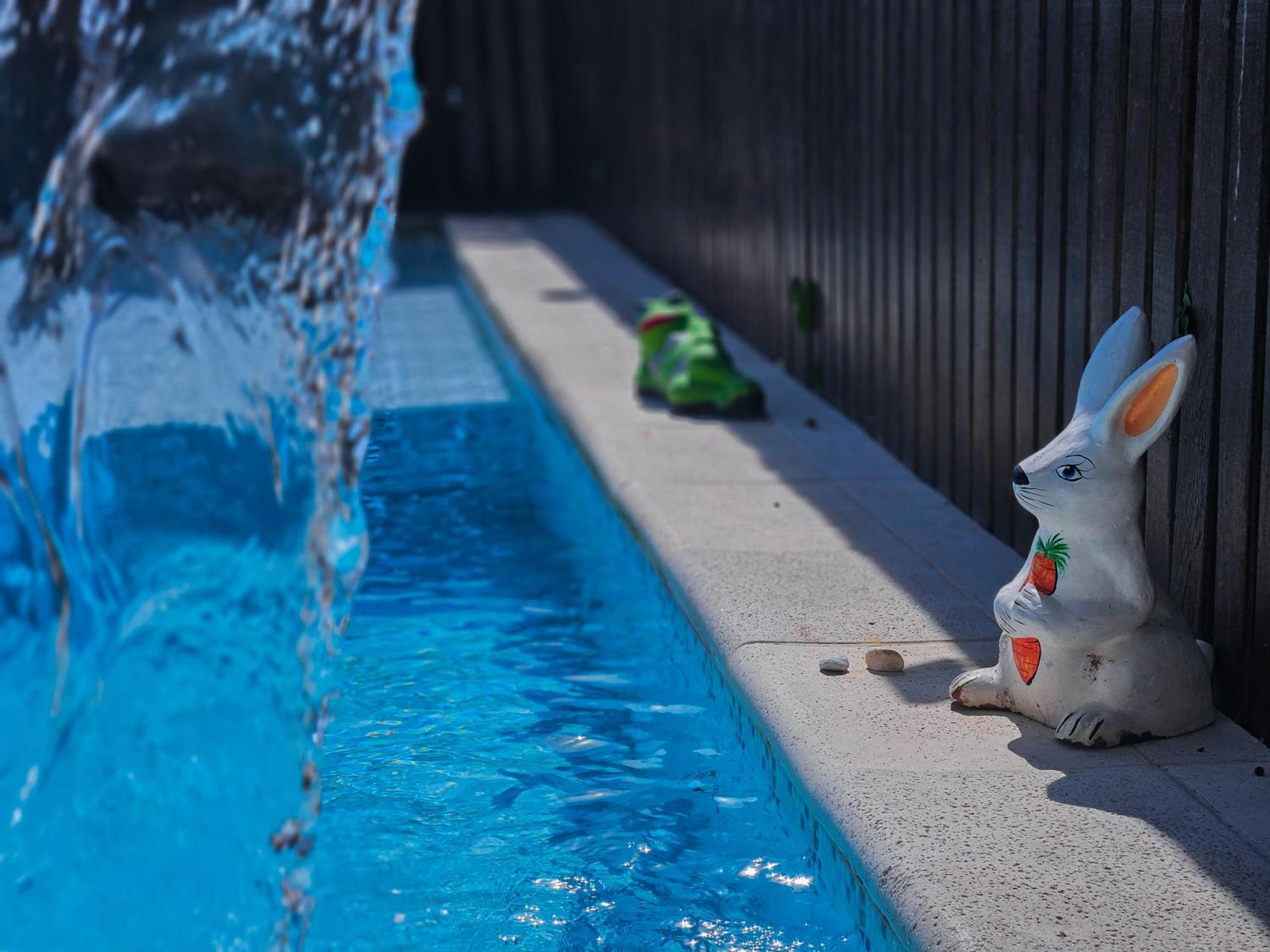 فندق Bella Vista Ocean View Búzios المظهر الخارجي الصورة A bunny watering can